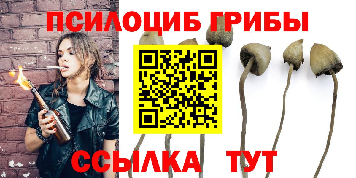Псилоцибиновые грибы MAGIC MUSHROOMS Обь
